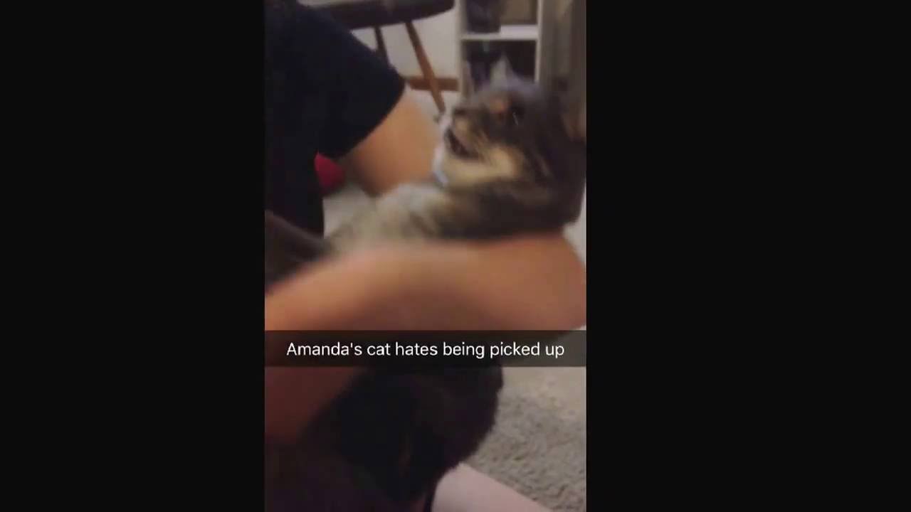 Snapchat collaboration