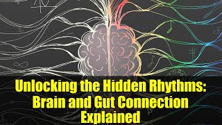Unlocking the Hidden Rhythms: Brain and Gut Connection Explained