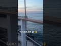 Dude’s got dedication #swimming #rescue #italy #travel #explore #funny #fyp #fypage #lol