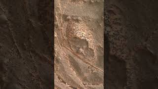 Som ET - 59 - Mars - Curiosity Sol 2217 #Shorts