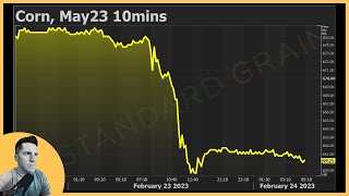 Why Did Corn Futures COLLAPSE on Thursday?