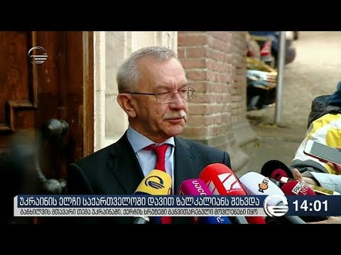 უკრაინის ელჩი საქართველოში დავით ზალკალიანს შეხვდა