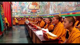 1st anniversary of Khenchen Thrangu Rinpoche’s Mahaparinirvana puja. Video by Acharya Dorji Sonam.