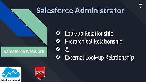 Day 7: Look-up, Hierarchical & External Look-up Relationships in Salesforce
