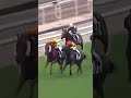 7 | 12 | MIGHTY STRENGTH | H T Mo #Mo #Horse #Racing #Sport #Results #賽馬結果 #马會 #油管 #赛马结果