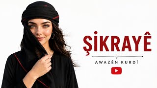 Şikrayê Kurdish Kurdish Cover - Yeni Kürtçe Şarkı 2026