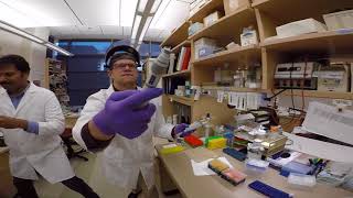Mannequin Challenge in John Letterio Lab
