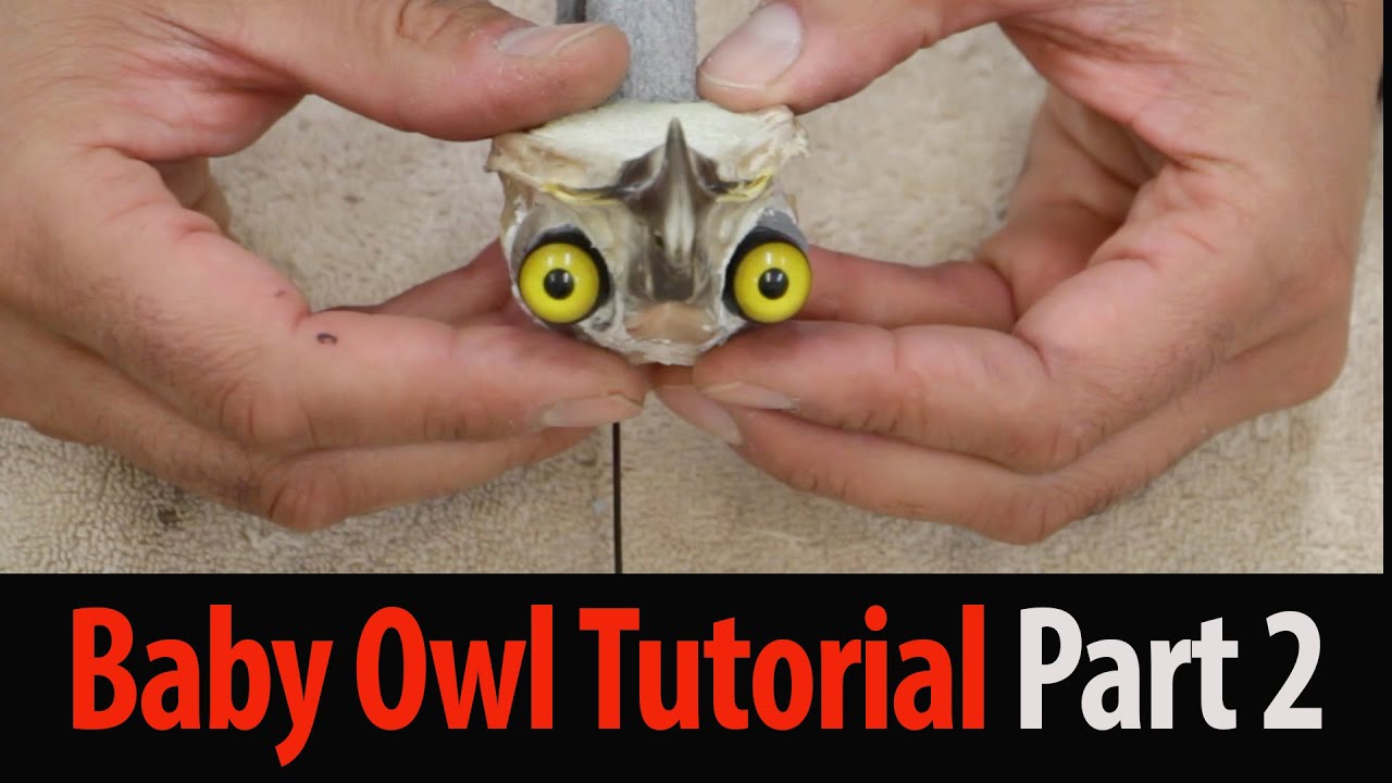 Setting the eyes using the real eye sockets... Baby Owl Tutorial P2 ...