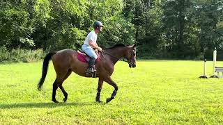 Wait For It Flatwork Prep