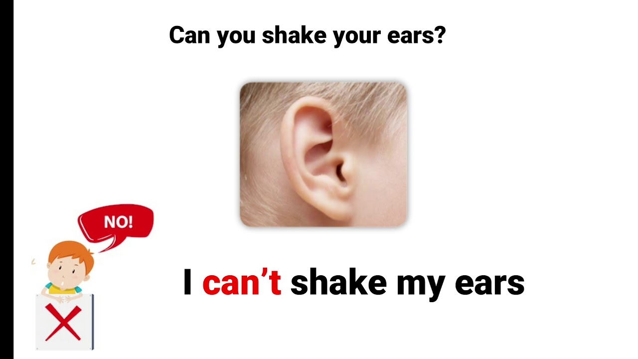 (2P) CAN/CAN'T + BEND AND STRETCH YouTube