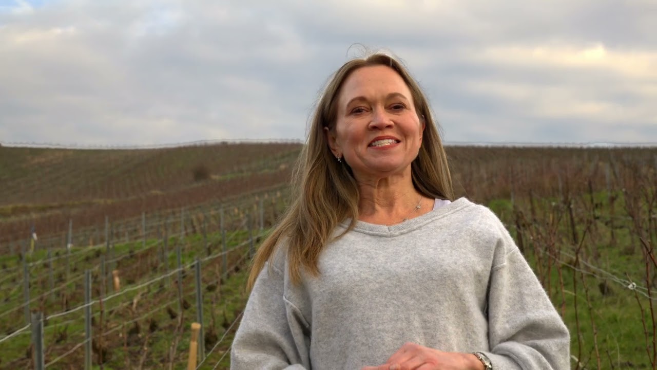 Champagne - The Region & The Wine