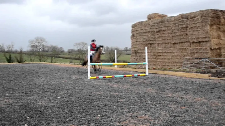 Jumping at home; harriet and jess