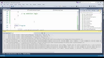 Lab30 Attribute in C#