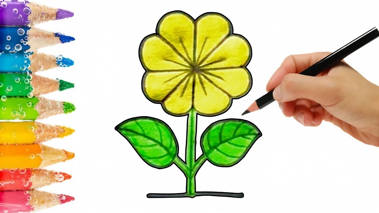How to Draw a Flower Step by Step | Easy Flower Pencil Art Tutorial ...
