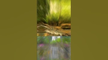 I CRASHED MY DRONE INTO A RIVER  !!!