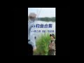 陳立農 Chen Linong  《 釣魚合集》 秘密菜園 vlog 看看魚王農 如何大展身手來釣魚🎣