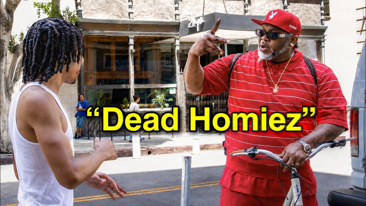 Understanding Urban Gang Culture and Community Dynamics