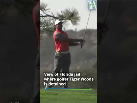 Tiger Woods Arrested In Florida Rollover Crash