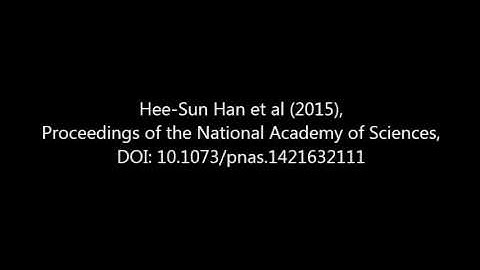 PNAS : Quantum dot/antibody conjugates for in vivo cytometric imaging in mice