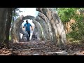TDW 1498 What Have I Wandered Into