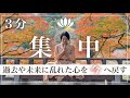 【3分】ブッダの呼吸法★朝の集中力を高めるマインドフルネス〜始業前や勉強前に心を整える〜１日の爽やかなスタート #誘導瞑想 #集中 #呼吸