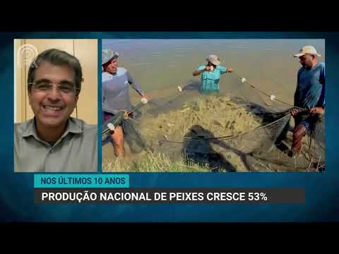 Piscicultura | Produção brasileira de pescados cresce 3% em 2023 | Canal Rural