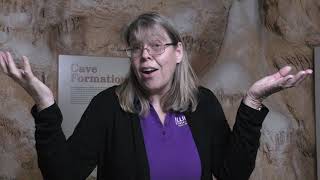 Life In the Dark: Illinois Caves