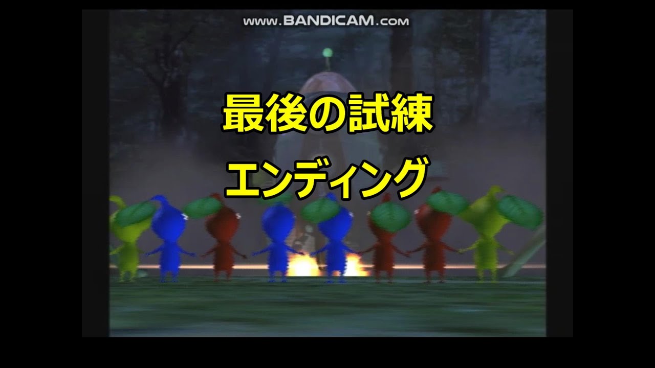 19年brfオータムパーティに参加しました のらくら蛙のギャンブル磊夫 Life