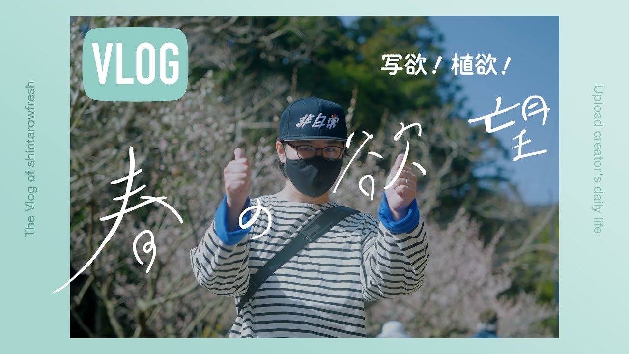 【春のVlog】アガベの種まき、明谷梅林で花見、春の欲望Vlog のサムネイル