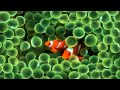 Capture de la vidéo Jean Martinon - Symphonie N° 2 « Hymne À La Vie » Opus 37, Prélude