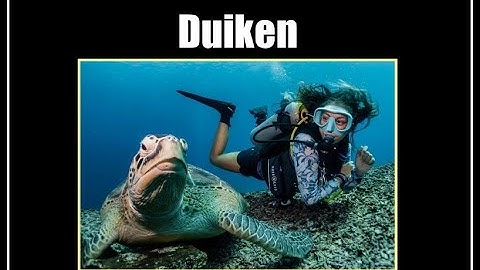 Duiken, inkijkexempaar groep 5 en 6