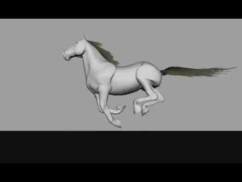 Gallop Test