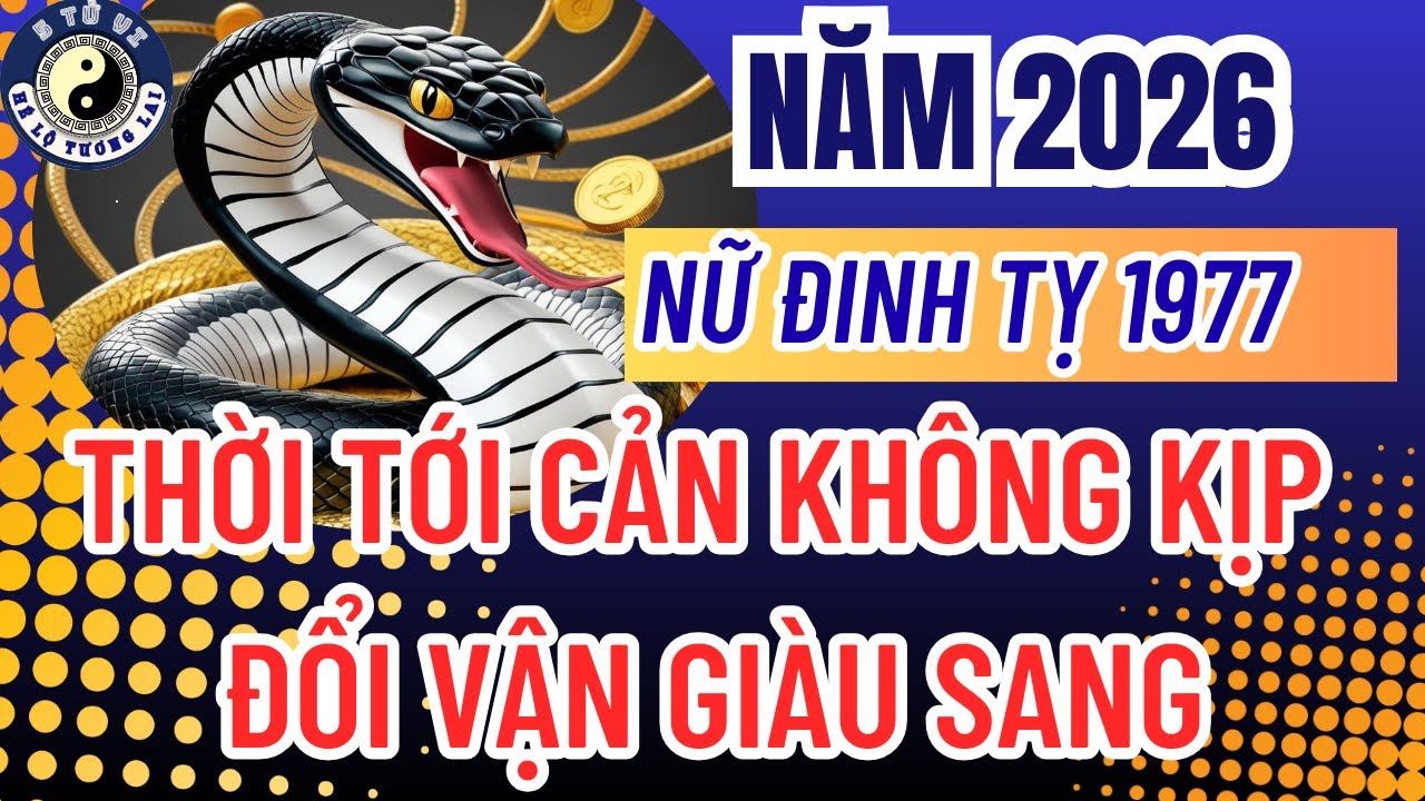 Tử Vi Nữ Đinh Tỵ 1977 Năm 2026: Thời Tới Cản Không Kịp, Thần Phật Nâng Bước Đổi Vận Giàu Sang!