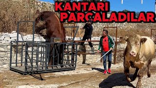 KANTARI PARÇALADILAR