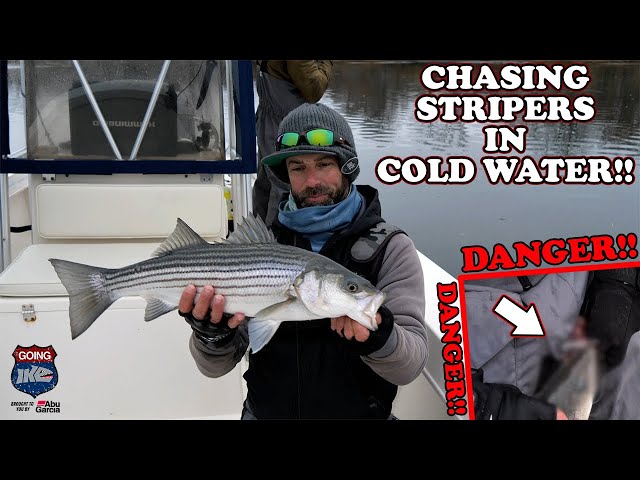 Striper Fishing in Connecticut!!! (Hooked in the D*%#!?!) 