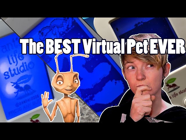 Ant's Life Studio Unboxing, Gameplay, and Review | The Virtual Ant