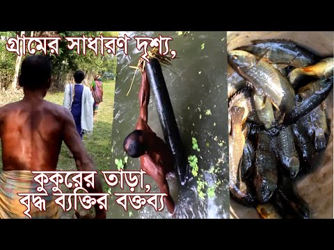 ভিডিও: সাধারণ অসঙ্গতি An