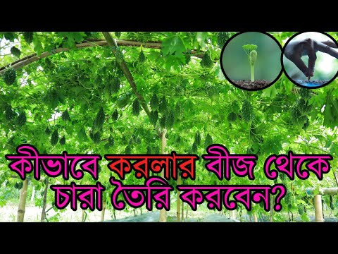 ভিডিও: Sberbank ব্যাঙ্ক কার্ড পরিষেবা ফি: ব্যবহারের শর্তাবলী, কার্ডের ধরন এবং ট্যারিফ