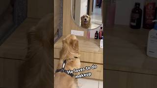 Learn self love from Jackson #pets