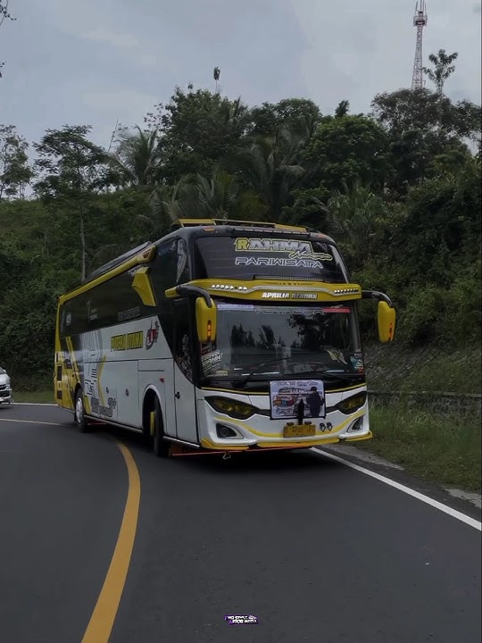 Basuri Anugerah Terindah Viral🔥|Bus🤍RAHMA NURSYIFA💛#basuri#busbasuri#viral#tyoproject