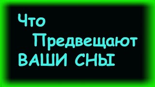 К чему снится мышь К чему снится мышь