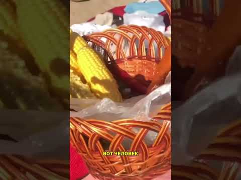 OPTIMUS GANG #optimus #оптимус #optimusgang #og_family #оптимусгенг