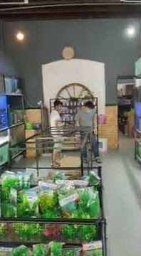 105415599 741591426587958 7838086371066844664 n