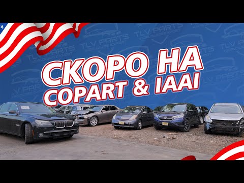 Эти авто скоро появятся на аукционах Copart и IAAI | Обзор