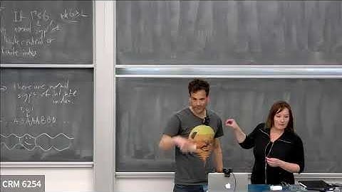 Invariant Random Subgroups. By Tsachik Gelander.