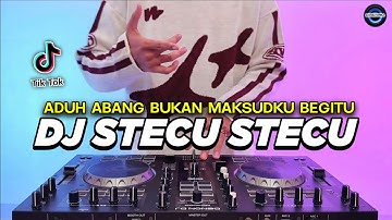 Thumbnail of DJ STECU STECU SETELAN CUEK BARU MALU REMIX FULL BASS VIRAL TIKTOK TERBARU 2025