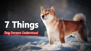 7 Things Only Shiba Inu Dog Owners Understand