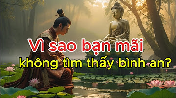 Buông Bỏ Không Phải Từ Bỏ Bài Học Sâu Sắc Từ Thiền sư