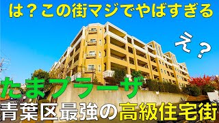 【高級住宅街】ここすごっ!!みんなの憧れ「たまプラーザ」の次元が違い過ぎる件