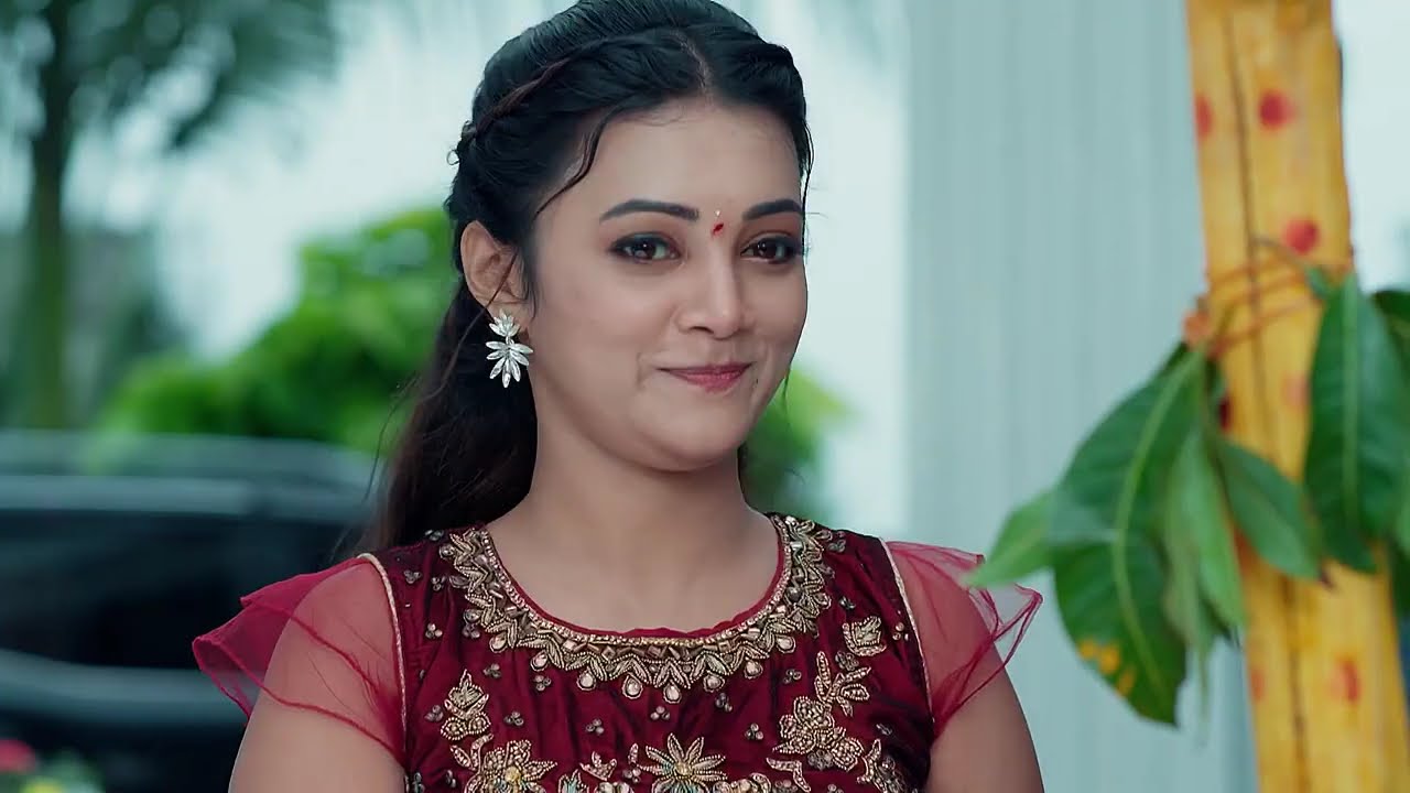 Chamanthi - Full Ep - 188 - Chamanthi, Prem, Roja - Zee Telugu